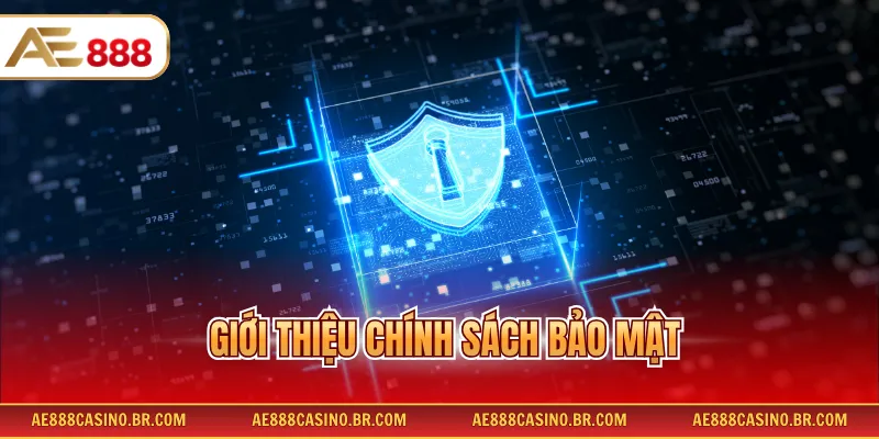 Giới thiệu chính sách bảo mật