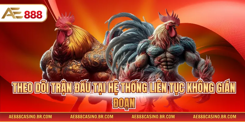 Đá Gà AE888 Đầy Đủ Hình Thức Thi Đấu Và Thông Tin Chi Tiết 2026 3 Theo dõi trận đấu tại hệ thống liên tục không gián đoạn