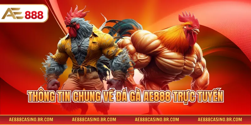 Đá Gà AE888 Đầy Đủ Hình Thức Thi Đấu Và Thông Tin Chi Tiết 2026 1 Thông tin chung về đá gà AE888 trực tuyến